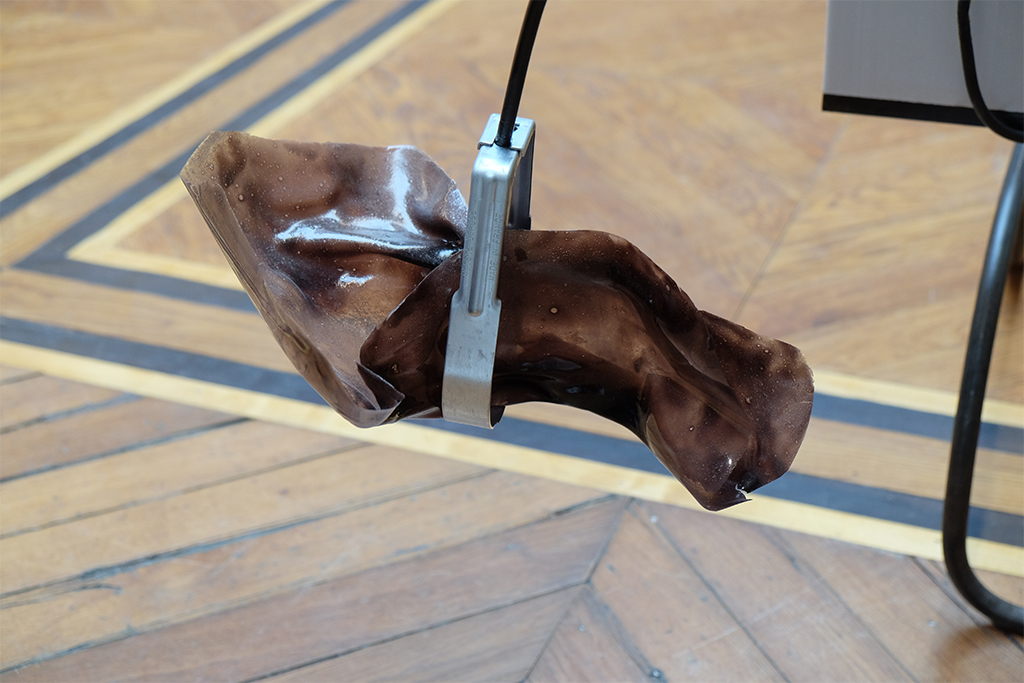 Carina Emery - Ear Gates (The Chamber Cannot Be Open at Both Ends), 2018